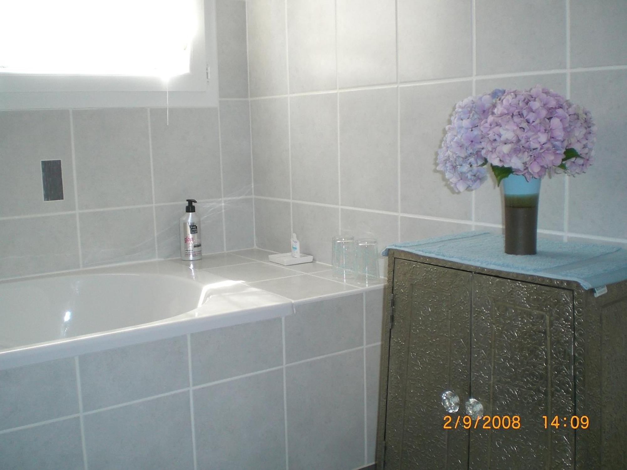 La Lilas Des Fargues Maison D'Hotes Алби Екстериор снимка