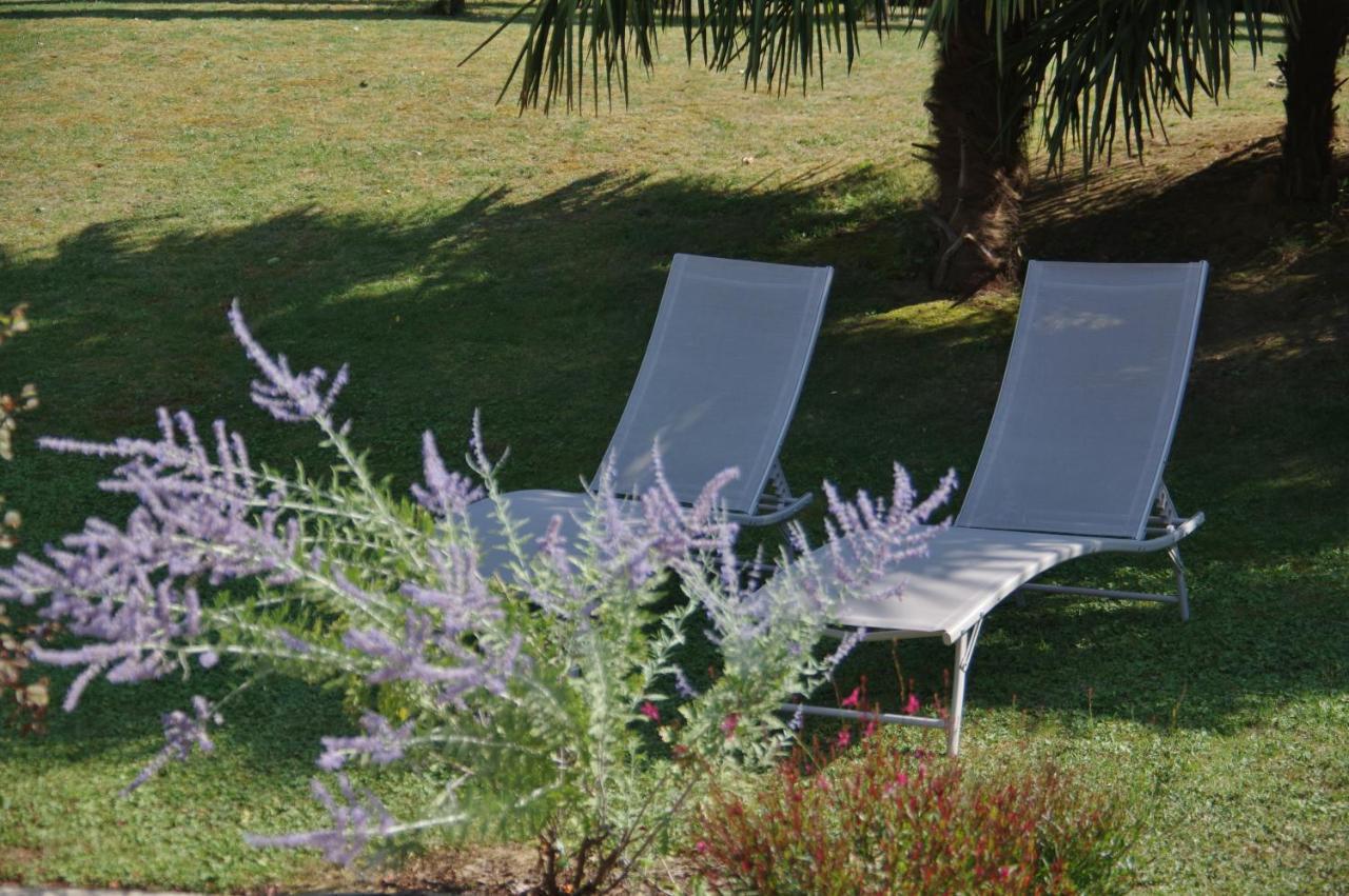 La Lilas Des Fargues Maison D'Hotes Алби Екстериор снимка
